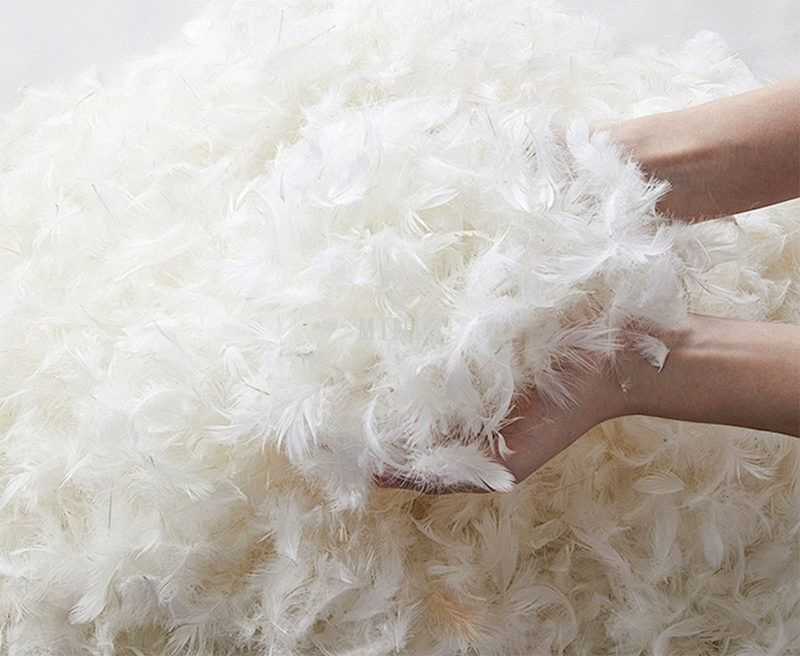 微信图片 _20250320171219